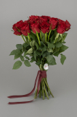 dc_rose_05_01_02